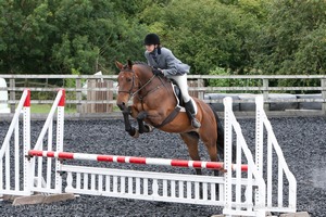 Class 7 - Fences 3' to 3'3